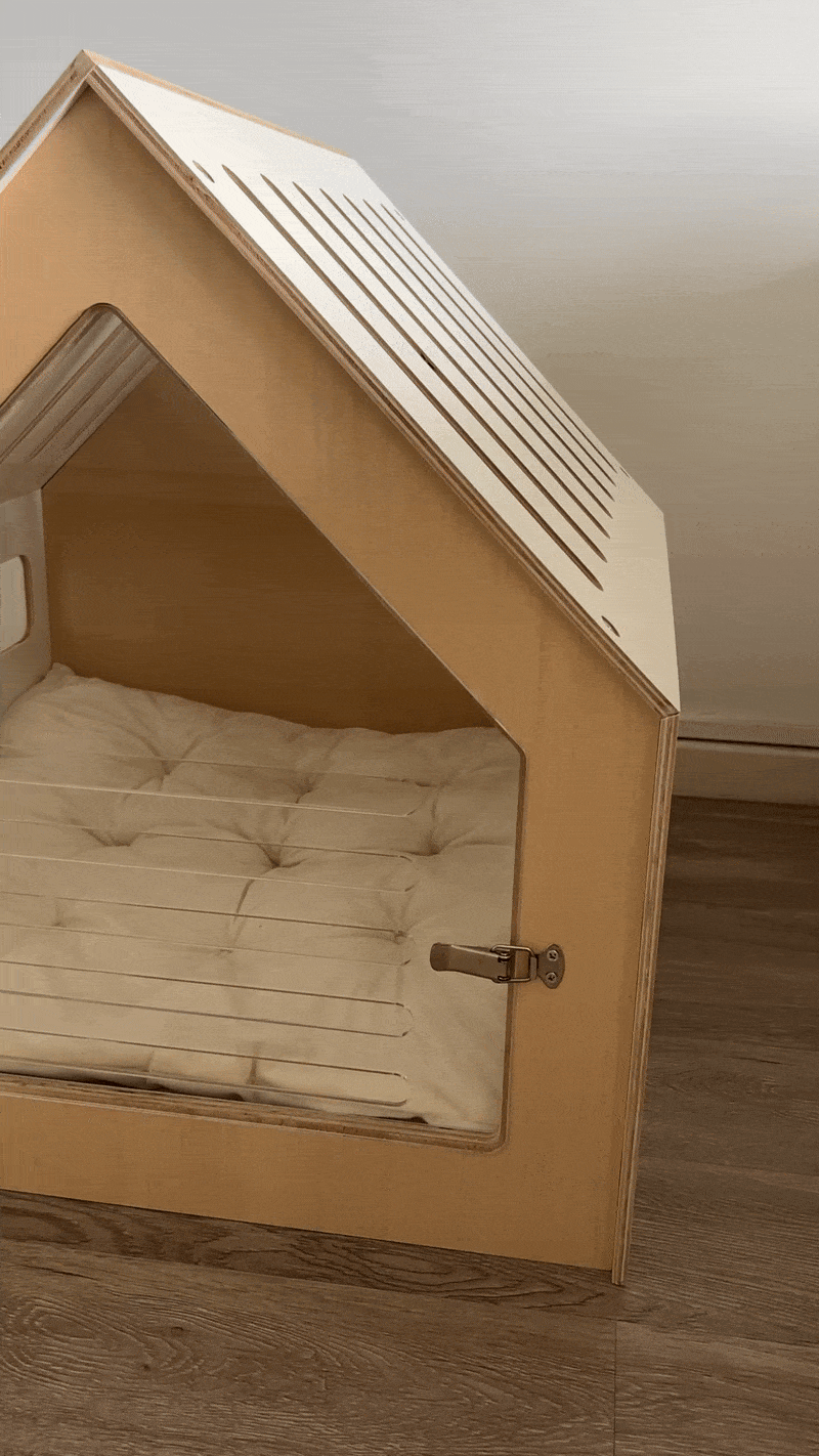 Modern Dog House