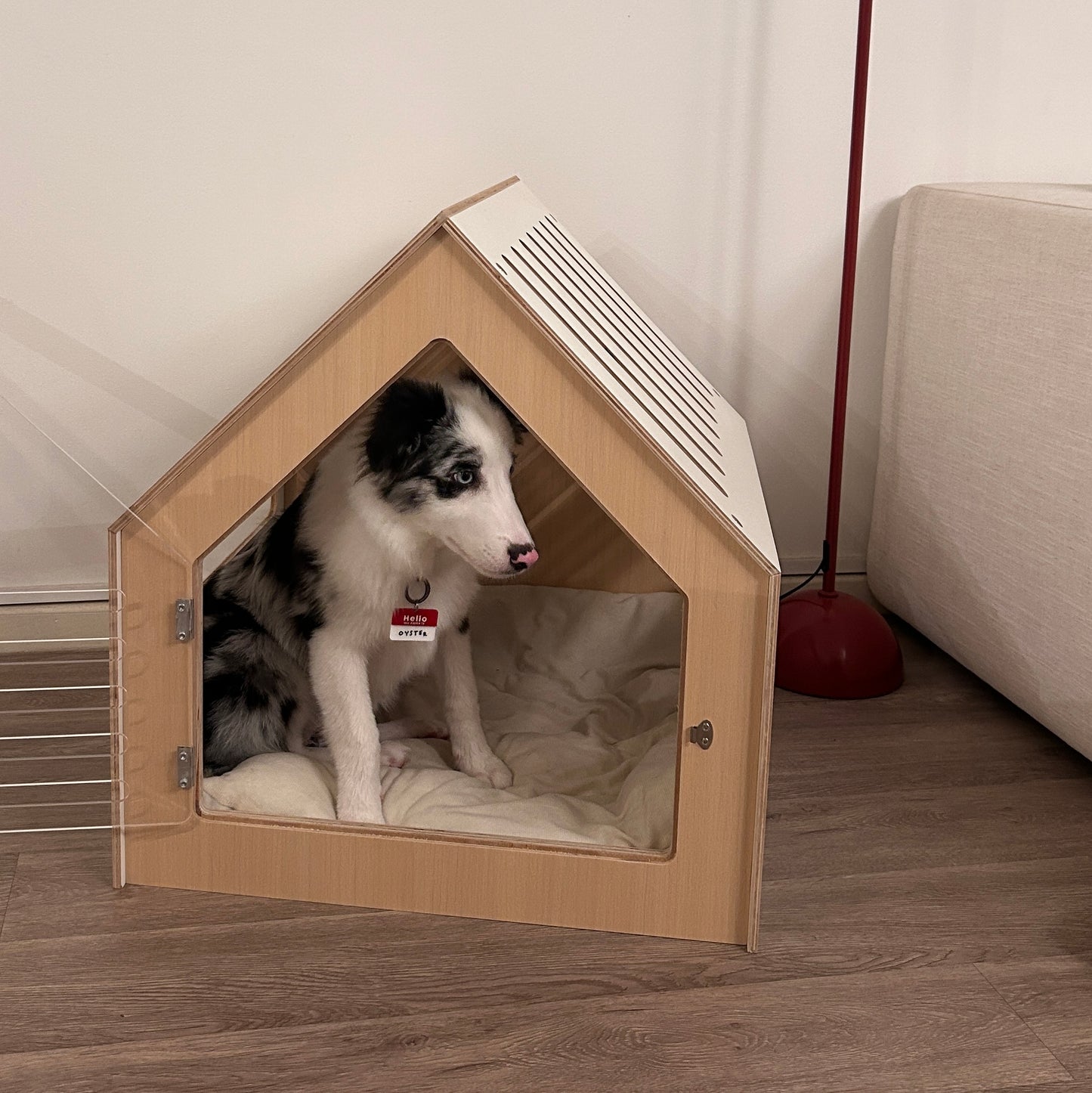 Modern Dog House